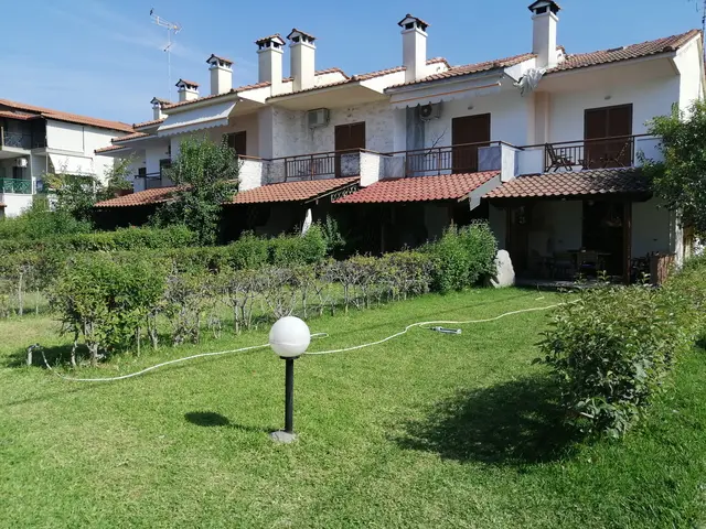 Green garden along the side of the studios